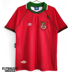 Wales 1994-1995 Retro Domácí Dres Krátký Rukáv Wales 1994-1995 Retro Domácí Dres Krátký Rukáv